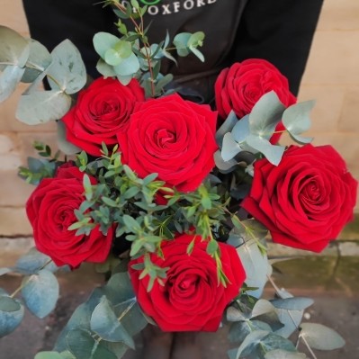 6 Red Naomi Roses