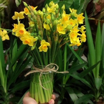 Scented Narcissi Jar