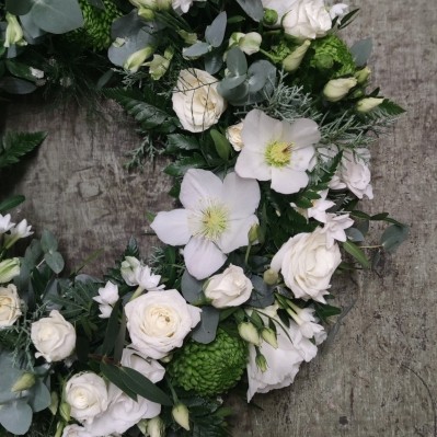 Winter Hellebore Wreath