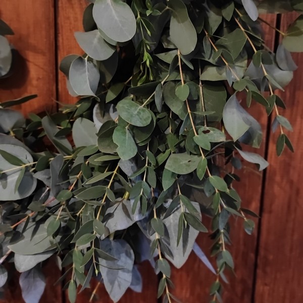 Mixed Eucalyptus Wreath