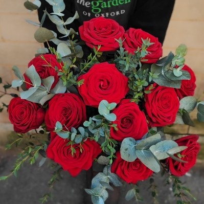 12 Red Naomi Roses