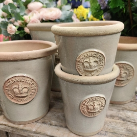 Royal Botanical Kew Pots