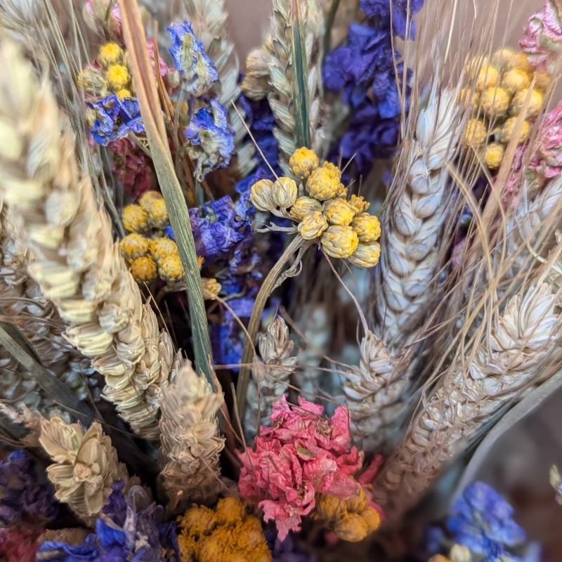 Yellow Dried Flower Selection