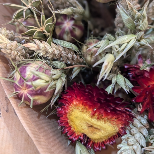 Orange Dried Flower Selection