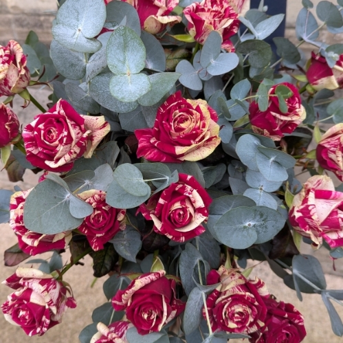 Harlequin Rose Bouquet