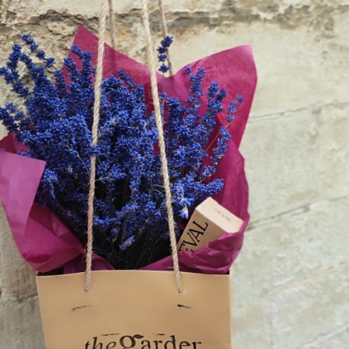 The Scented Edit