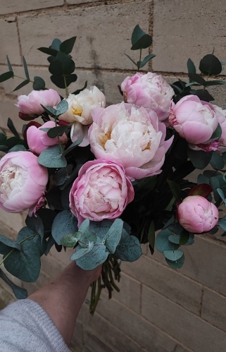 A Dozen Peonies