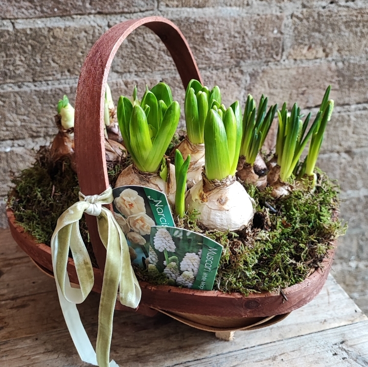 Spring Trug